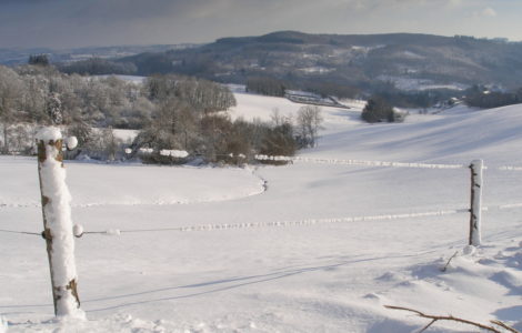 Cheissoux, the nature under the snow