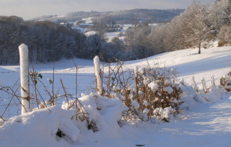 Cheissoux, the nature under the snow
