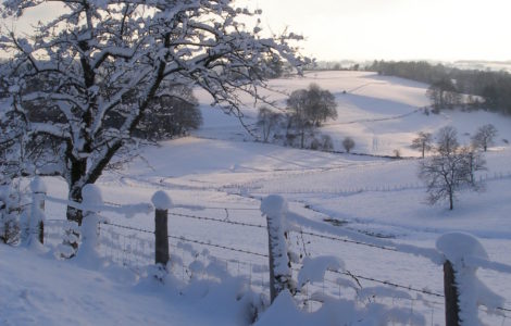 Cheissoux, the nature under the snow