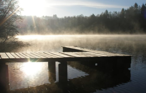 Fog on the lake