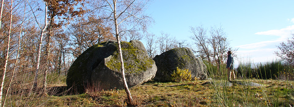 Le Puy des Roches à Cheissoux